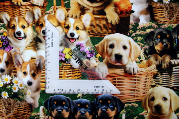 Furry Fun Puppy Love in Baskets Premium Printed Cotton