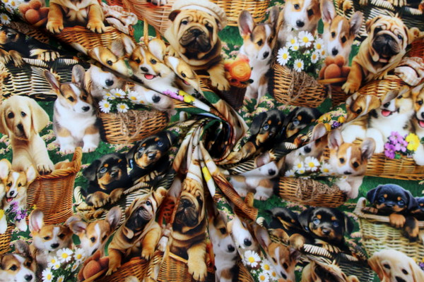 Furry Fun Puppy Love in Baskets Premium Printed Cotton