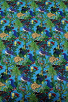 Beautiful Birds - Kiwiana Cottons