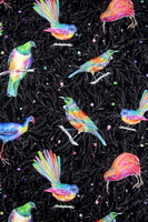 New Zealand Native Birds Kiwiana Black Printed Cotton