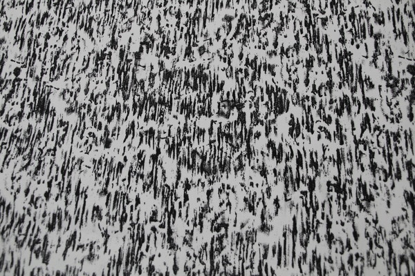Black & Ivory Stretch Cotton Drill