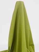 Lime-Light Bengaline