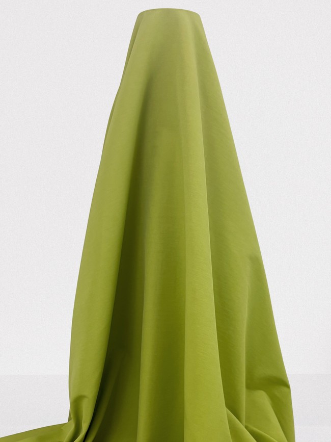 Lime-Light Bengaline