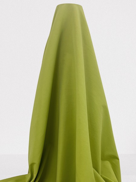 Lime-Light Bengaline