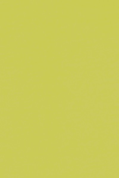 Fluro Yellow Wool Single Knit