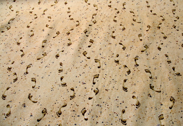 Footsteps in the Sand Printed Cotton New Image