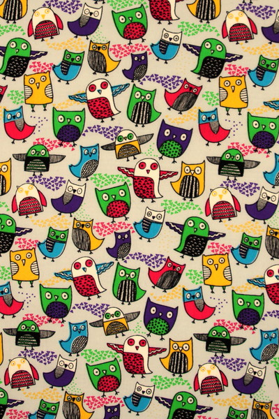 Funky Owls on Palest Blue Printed Cotton