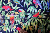 Parrots on Navy Printed Kiwiana Cotton