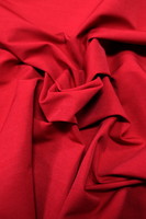 Bright Red Bengaline