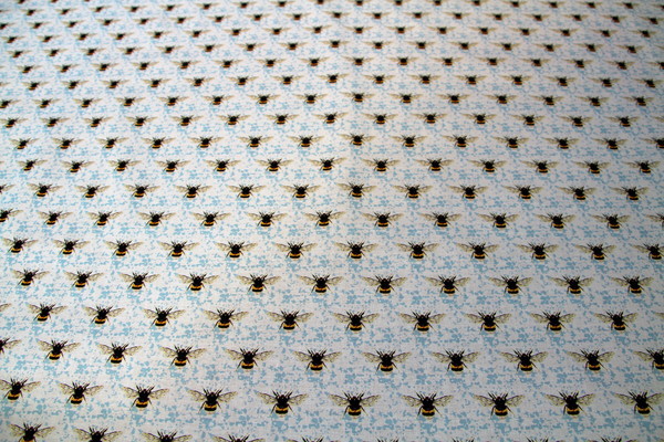 Honey Bee on Blue & White Cotton