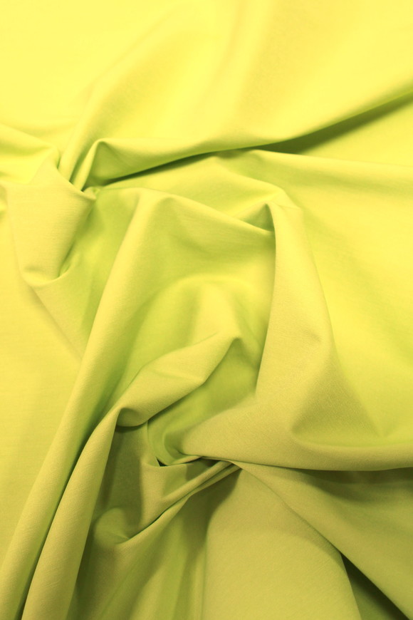 Lime-Light Bengaline