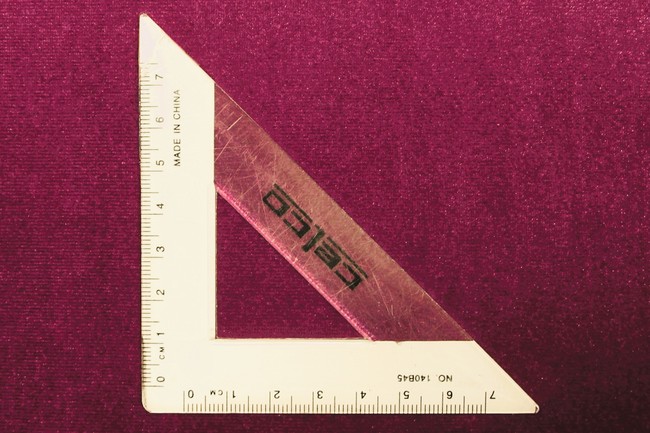 Pansy Plush Stretch Velvet