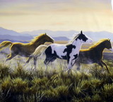 Wild Horses On The Run
