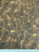 Tan & Black Animal Design Embossed Polyester