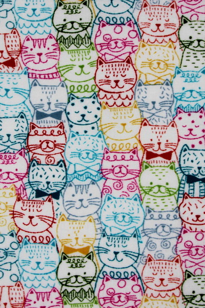 Whiskers Cat Portraits Printed Premium Cotton