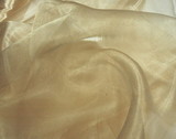 Soft Gold Champagne Organza