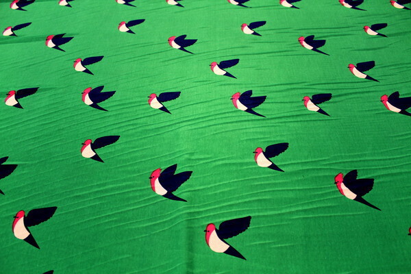 Funky Bright Birds Polyester