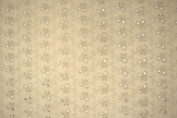 Creamy Beige Broderie Anglaise