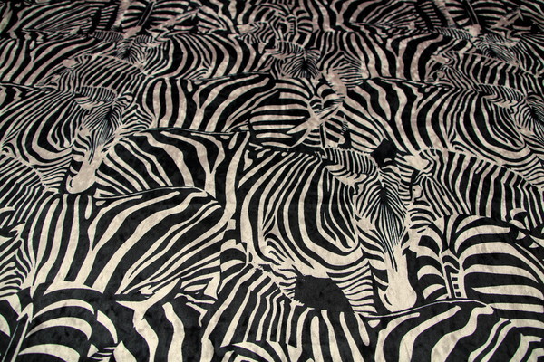 Lavish Printed, Crushed Stretch Velvet - Zebra Crossing