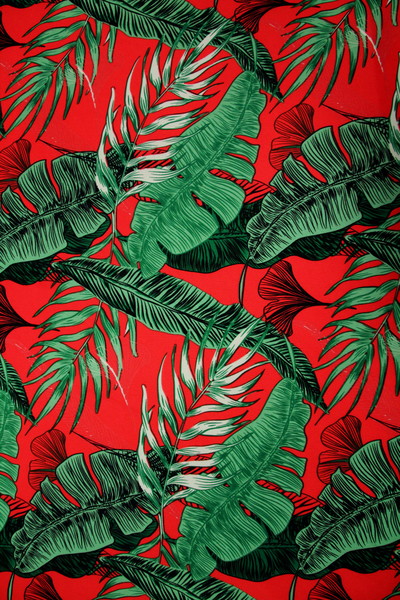 Palm Leaves Printed Light-Weight Polyester