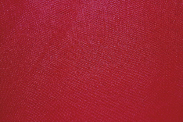 Vibrant Nylon Netting - Maroon