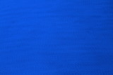 Vibrant Nylon Netting - Royal