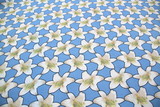 Powder Blue Hibiscus Printed Rayon