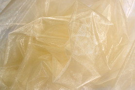 Soft Champagne Organza