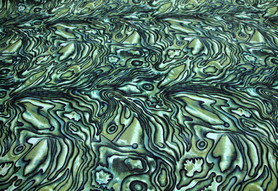 Green Paua Shell Kiwiana Printed Cotton