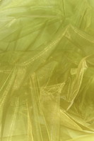 Green/Gold Organza