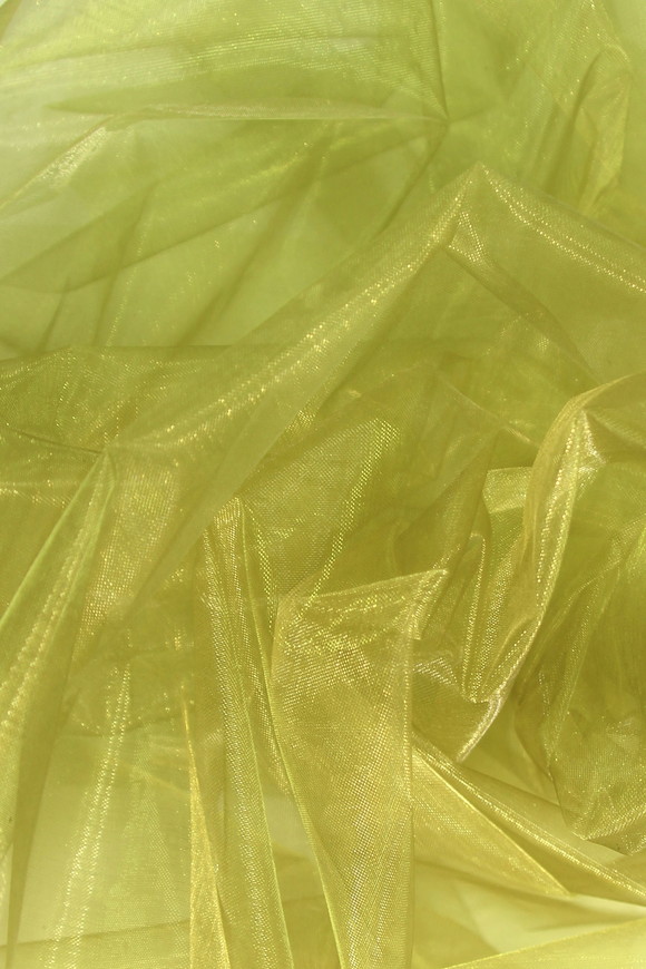 Green/Gold Organza