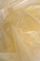 Soft Champagne Organza