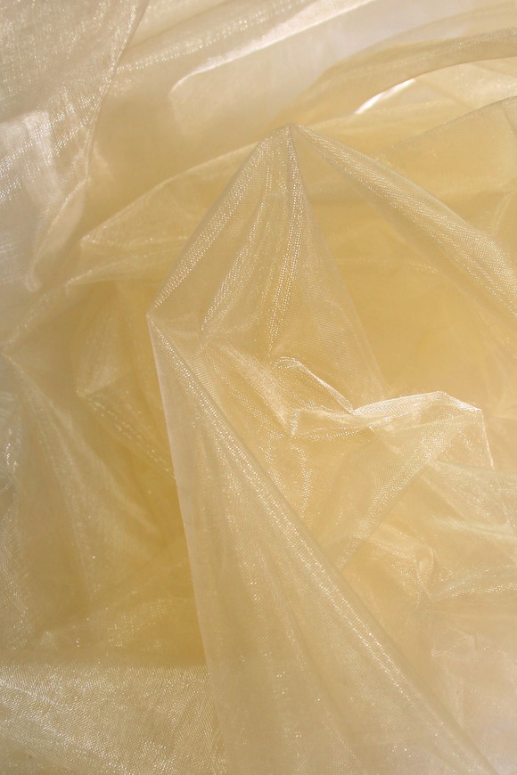 Soft Champagne Organza