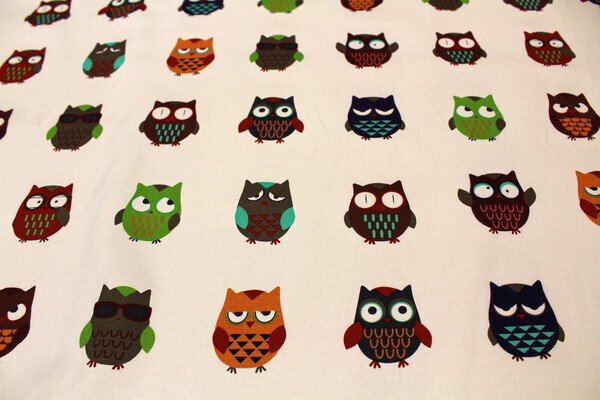 Wise Owls Printed Canvas