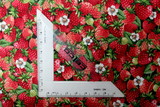 Strawberries - Summer Days Premium Printed Cotton
