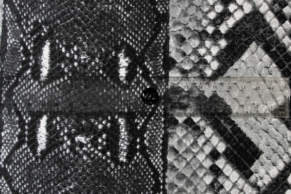 Black & Greys Striped Snake Ponti de Roma