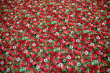Strawberries - Summer Days Premium Printed Cotton
