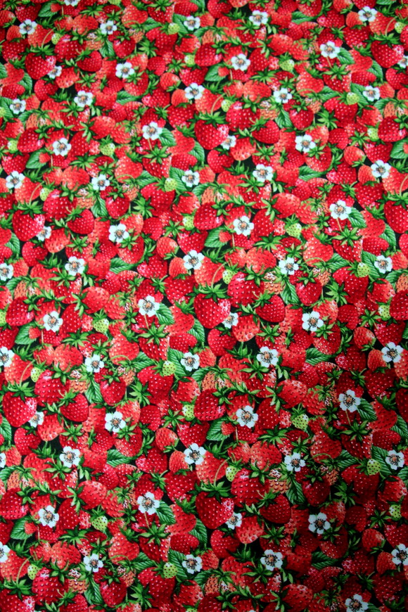 Strawberries - Summer Days Premium Printed Cotton