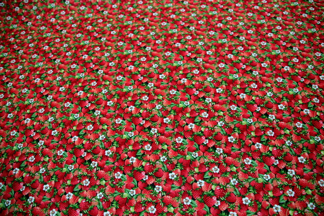 Strawberries - Summer Days Premium Printed Cotton