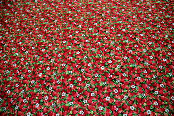 Strawberries - Summer Days Premium Printed Cotton