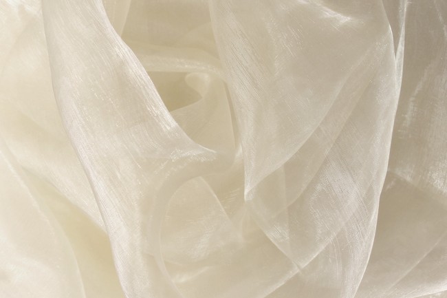 Ivory Organza