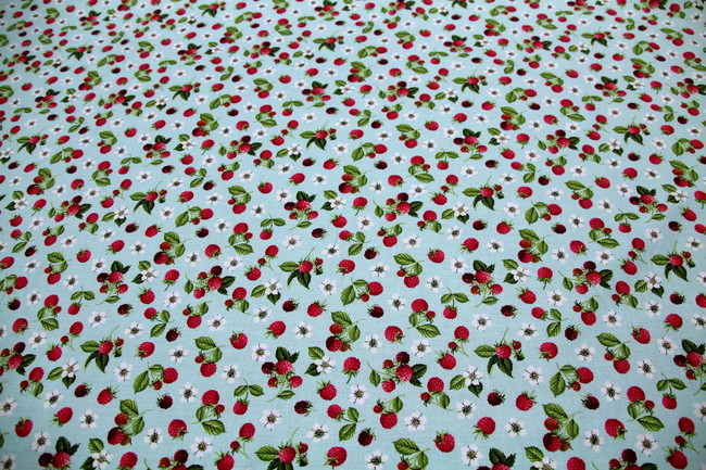 Raspberry - Summer Days Premium Printed Cotton