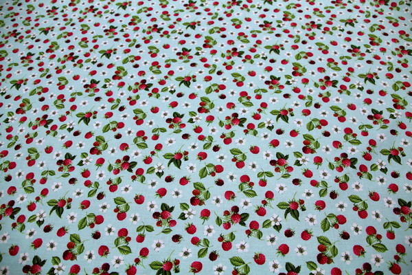 Raspberry - Summer Days Premium Printed Cotton