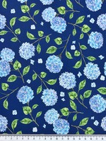 Summer Bliss Blue Hydrangea's