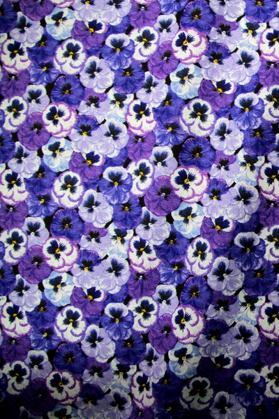 Pansy - Summer Days Premium Printed Cotton