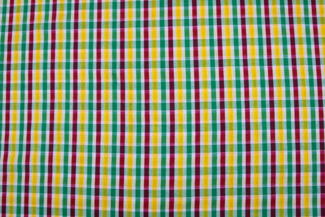 Green Stripes Reversable Cotton Check