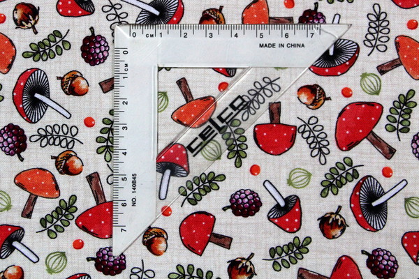 Nature Trail (Mushrooms) on Cream Premium Cotton