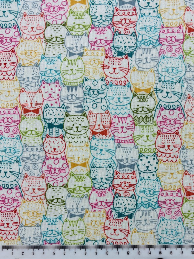 Whiskers Cat Portraits