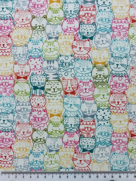 Whiskers Cat Portraits