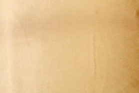 Champagne Satin Lining